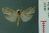  ( - RMNH.INS.19150)  @13 [ ] Unspecified (default): All Rights Reserved  Unspecified Unspecified