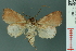  ( - RMNH.INS.19165)  @13 [ ] Unspecified (default): All Rights Reserved  Unspecified Unspecified