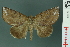  ( - RMNH.INS.19166)  @14 [ ] Unspecified (default): All Rights Reserved  Unspecified Unspecified