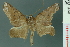  ( - RMNH.INS.19167)  @14 [ ] Unspecified (default): All Rights Reserved  Unspecified Unspecified