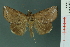  ( - RMNH.INS.19168)  @14 [ ] Unspecified (default): All Rights Reserved  Unspecified Unspecified