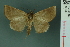  ( - RMNH.INS.19168)  @13 [ ] Unspecified (default): All Rights Reserved  Unspecified Unspecified