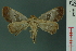  ( - RMNH.INS.19169)  @11 [ ] Unspecified (default): All Rights Reserved  Unspecified Unspecified