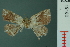  ( - RMNH.INS.19180)  @13 [ ] Unspecified (default): All Rights Reserved  Unspecified Unspecified