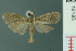  ( - RMNH.INS.19195)  @13 [ ] Unspecified (default): All Rights Reserved  Unspecified Unspecified
