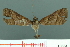  ( - RMNH.INS.19201)  @13 [ ] Unspecified (default): All Rights Reserved  Unspecified Unspecified