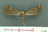  ( - RMNH.INS.19201)  @13 [ ] Unspecified (default): All Rights Reserved  Unspecified Unspecified