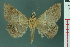  ( - RMNH.INS.19205)  @14 [ ] Unspecified (default): All Rights Reserved  Unspecified Unspecified