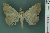  ( - RMNH.INS.19205)  @13 [ ] Unspecified (default): All Rights Reserved  Unspecified Unspecified