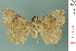  ( - RMNH.INS.19208)  @13 [ ] Unspecified (default): All Rights Reserved  Unspecified Unspecified