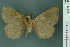  ( - RMNH.INS.19208)  @12 [ ] Unspecified (default): All Rights Reserved  Unspecified Unspecified
