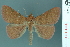  ( - RMNH.INS.19210)  @14 [ ] Unspecified (default): All Rights Reserved  Unspecified Unspecified