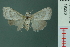  ( - RMNH.INS.19228)  @12 [ ] Unspecified (default): All Rights Reserved  Unspecified Unspecified