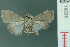  ( - RMNH.INS.19228)  @12 [ ] Unspecified (default): All Rights Reserved  Unspecified Unspecified