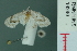  ( - RMNH.INS.19290)  @12 [ ] Unspecified (default): All Rights Reserved  Unspecified Unspecified