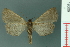  ( - RMNH.INS.19309)  @14 [ ] Unspecified (default): All Rights Reserved  Unspecified Unspecified