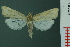  ( - RMNH.INS.19356)  @11 [ ] Unspecified (default): All Rights Reserved  Unspecified Unspecified