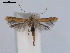  ( - RMNH.INS.19834)  @14 [ ] Unspecified (default): All Rights Reserved  Unspecified Unspecified