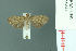  ( - RMNH.INS.19844)  @13 [ ] Unspecified (default): All Rights Reserved  Unspecified Unspecified