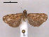  ( - RMNH.INS.19844)  @13 [ ] Unspecified (default): All Rights Reserved  Unspecified Unspecified