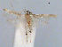  ( - RMNH.INS.27408)  @12 [ ] Unspecified (default): All Rights Reserved  Unspecified Unspecified