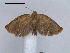  ( - RMNH.INS.27553)  @14 [ ] Unspecified (default): All Rights Reserved  Unspecified Unspecified