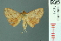  ( - RMNH.INS.19379)  @13 [ ] Unspecified (default): All Rights Reserved  Unspecified Unspecified