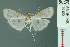  ( - RMNH.INS.19423)  @11 [ ] Unspecified (default): All Rights Reserved  Unspecified Unspecified