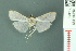  ( - RMNH.INS.19423)  @13 [ ] Unspecified (default): All Rights Reserved  Unspecified Unspecified