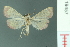  ( - RMNH.INS.19457)  @13 [ ] Unspecified (default): All Rights Reserved  Unspecified Unspecified