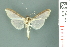  ( - RMNH.INS.19495)  @12 [ ] Unspecified (default): All Rights Reserved  Unspecified Unspecified