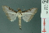  ( - RMNH.INS.19498)  @14 [ ] Unspecified (default): All Rights Reserved  Unspecified Unspecified