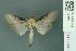  ( - RMNH.INS.19498)  @13 [ ] Unspecified (default): All Rights Reserved  Unspecified Unspecified