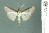  ( - RMNH.INS.19499)  @13 [ ] Unspecified (default): All Rights Reserved  Unspecified Unspecified