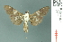  ( - RMNH.INS.19502)  @11 [ ] Unspecified (default): All Rights Reserved  Unspecified Unspecified