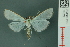  ( - RMNH.INS.19522)  @13 [ ] Unspecified (default): All Rights Reserved  Unspecified Unspecified