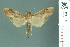  ( - RMNH.INS.19582)  @13 [ ] Unspecified (default): All Rights Reserved  Unspecified Unspecified