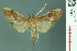  ( - RMNH.INS.19583)  @14 [ ] Unspecified (default): All Rights Reserved  Unspecified Unspecified