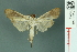  ( - RMNH.INS.19583)  @13 [ ] Unspecified (default): All Rights Reserved  Unspecified Unspecified