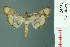  ( - RMNH.INS.19596)  @11 [ ] Unspecified (default): All Rights Reserved  Unspecified Unspecified