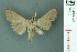  ( - RMNH.INS.19610)  @13 [ ] Unspecified (default): All Rights Reserved  Unspecified Unspecified