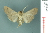  ( - RMNH.INS.19611)  @13 [ ] Unspecified (default): All Rights Reserved  Unspecified Unspecified
