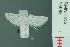  ( - RMNH.INS.19668)  @13 [ ] Unspecified (default): All Rights Reserved  Unspecified Unspecified