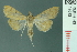  ( - RMNH.INS.19692)  @13 [ ] Unspecified (default): All Rights Reserved  Unspecified Unspecified
