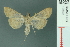  ( - RMNH.INS.19692)  @13 [ ] Unspecified (default): All Rights Reserved  Unspecified Unspecified