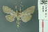  ( - RMNH.INS.19694)  @11 [ ] Unspecified (default): All Rights Reserved  Unspecified Unspecified