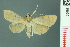  ( - RMNH.INS.19695)  @14 [ ] Unspecified (default): All Rights Reserved  Unspecified Unspecified