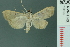 ( - RMNH.INS.19695)  @14 [ ] Unspecified (default): All Rights Reserved  Unspecified Unspecified