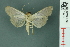  ( - RMNH.INS.19712)  @13 [ ] Unspecified (default): All Rights Reserved  Unspecified Unspecified