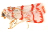 ( - BIOUG06552-H03)  @14 [ ] CreativeCommons - Attribution (2014) CBG Photography Group Centre for Biodiversity Genomics